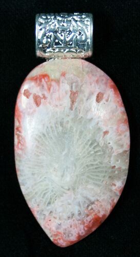 Fossil Red Horn Coral Pendant - Utah #14865